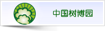 中国亚热带树木文化博览园